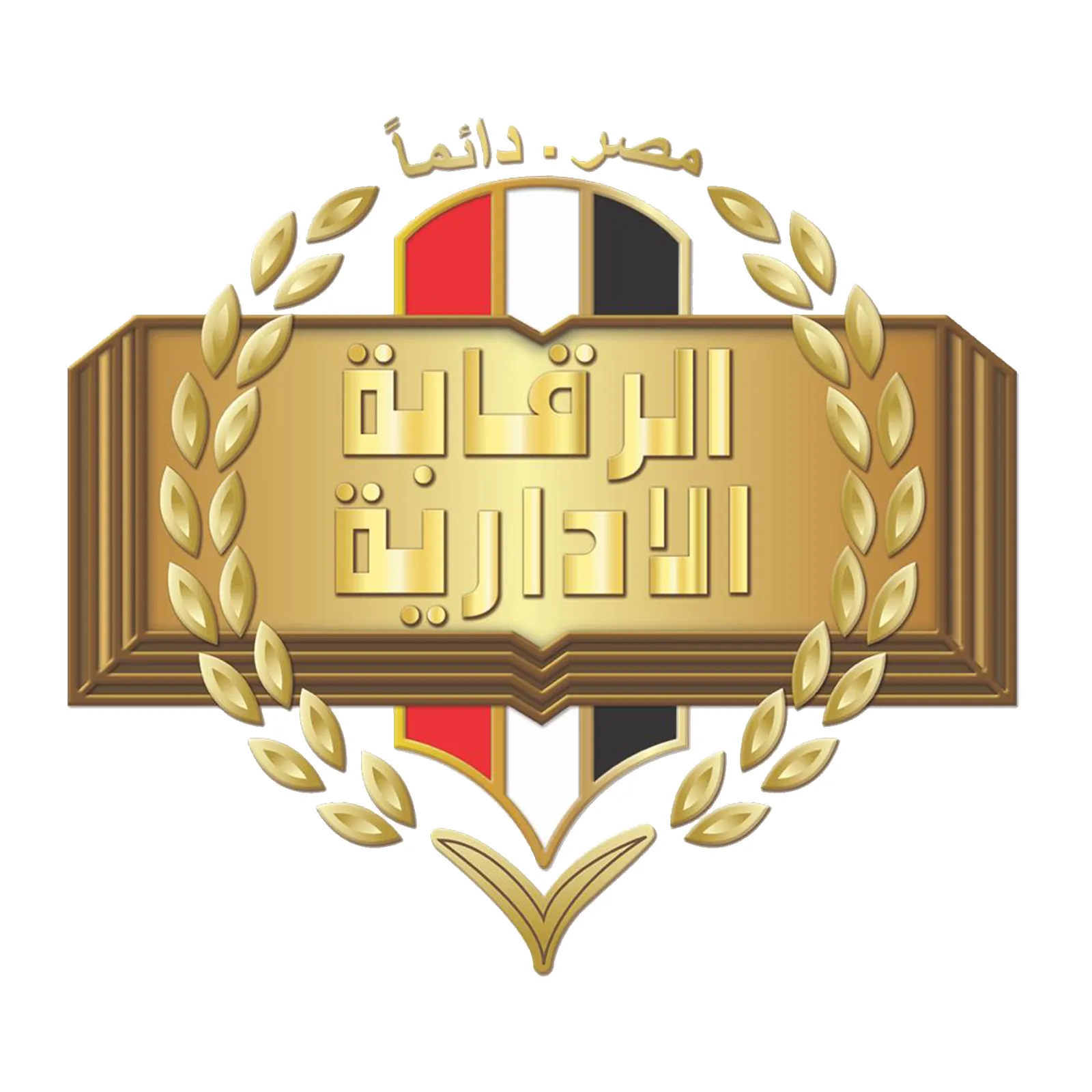 02-1