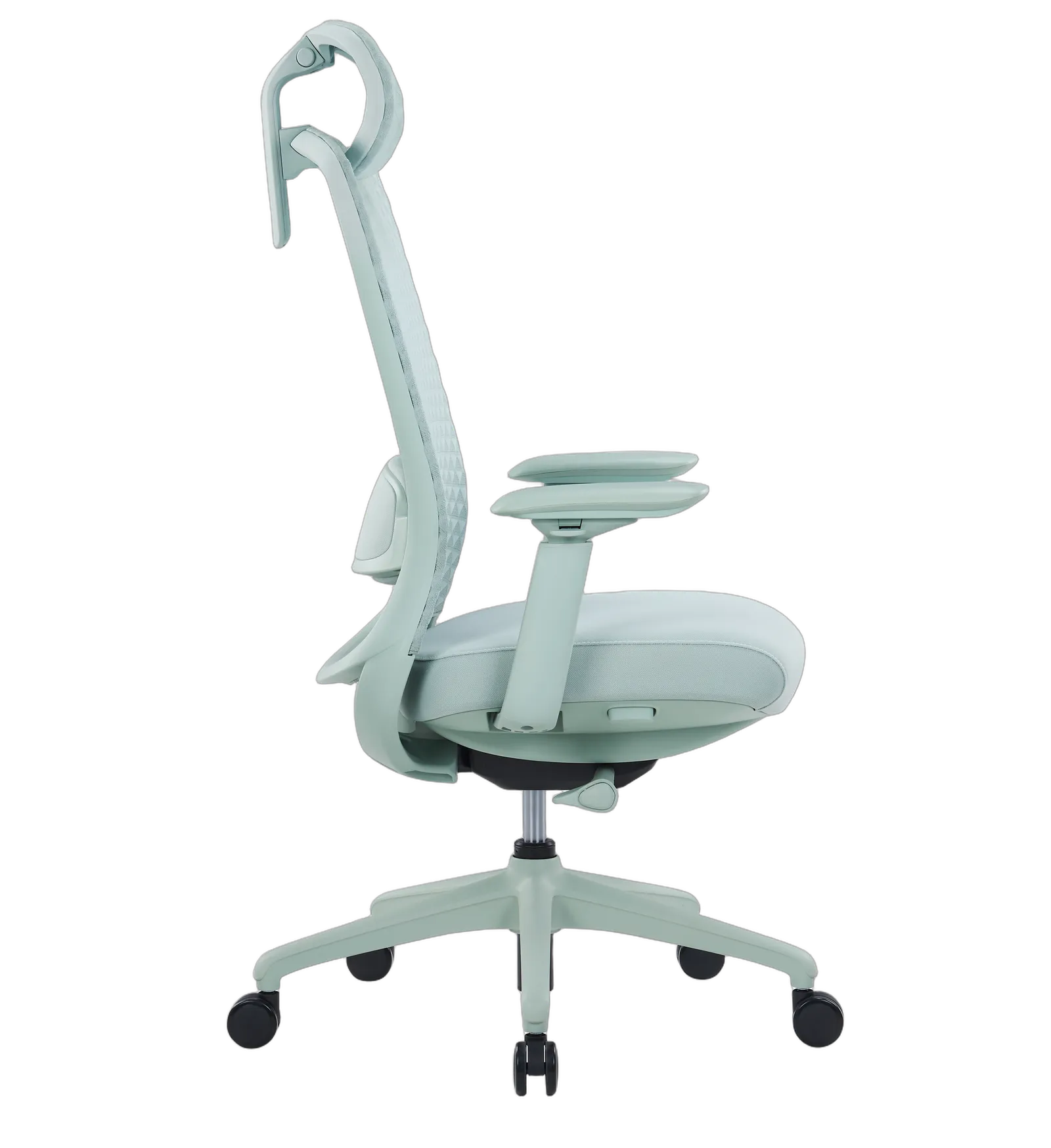 Thumbnail for Premium CH-531A Series -light Green