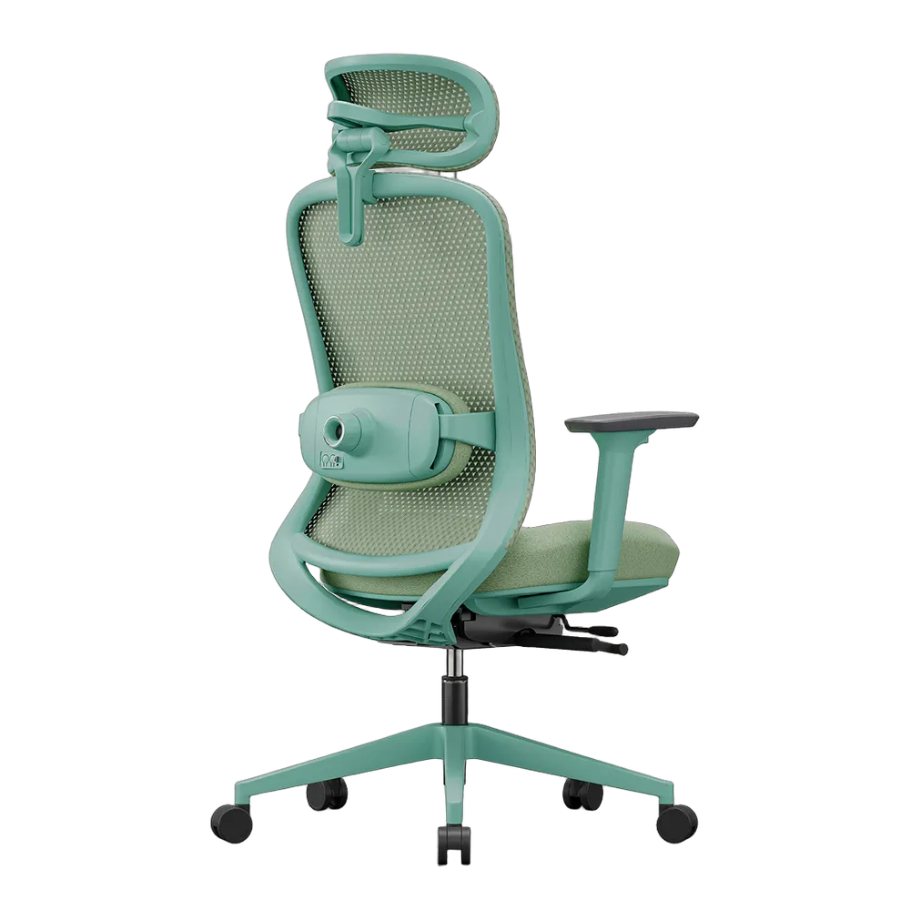 Thumbnail for Premium ErgoChair - Green