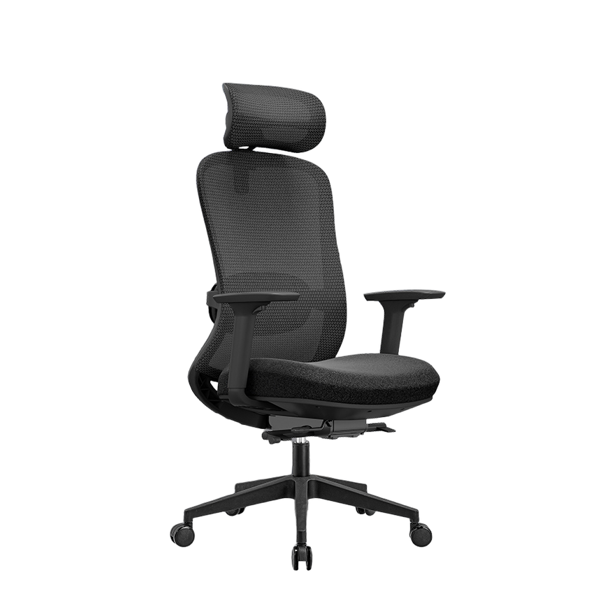 Premium ErgoChair - Black