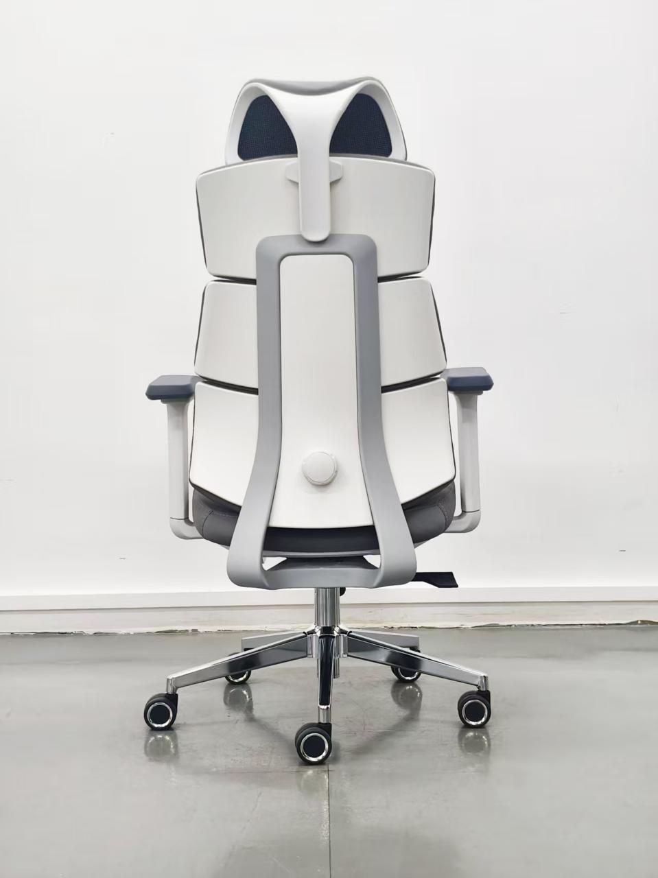 Thumbnail for ERGO CHAIR - A22