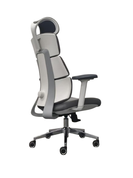 Thumbnail for ERGO CHAIR - A22