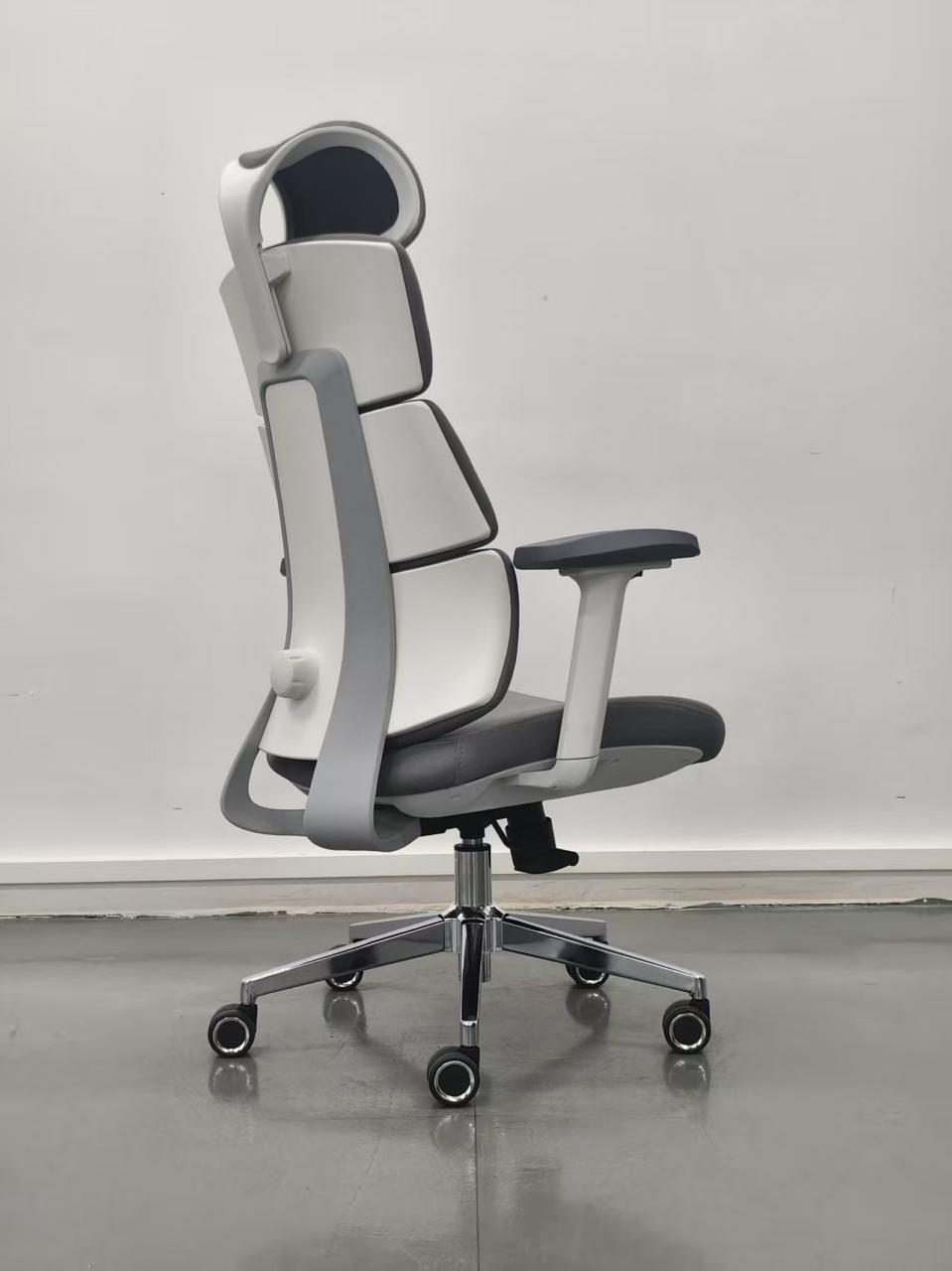 Thumbnail for ERGO CHAIR - A22