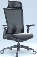Thumbnail for BLBP-28G  Ergonomic Office Chair